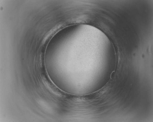 X0000051910250200507082037