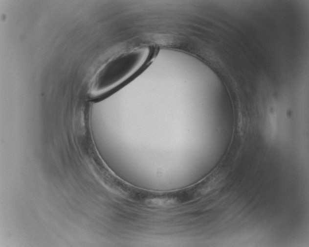 X0000051910251200507082037