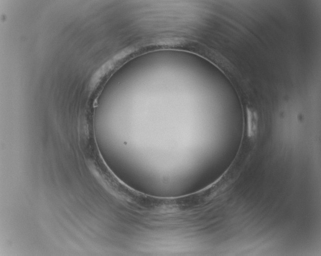 X0000051910252200507082037