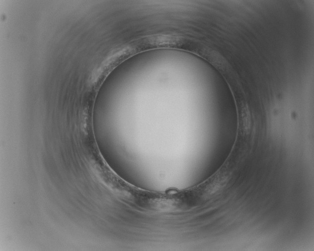 X0000051910255200507082037