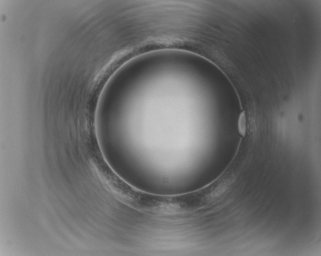 X0000051910256200507082037