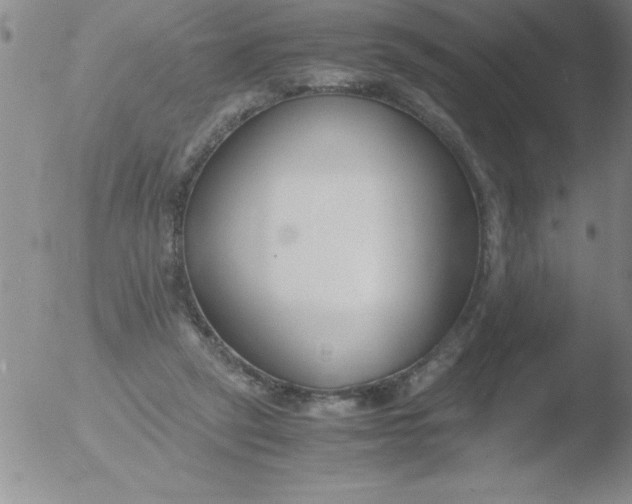 X0000051910257200507082037