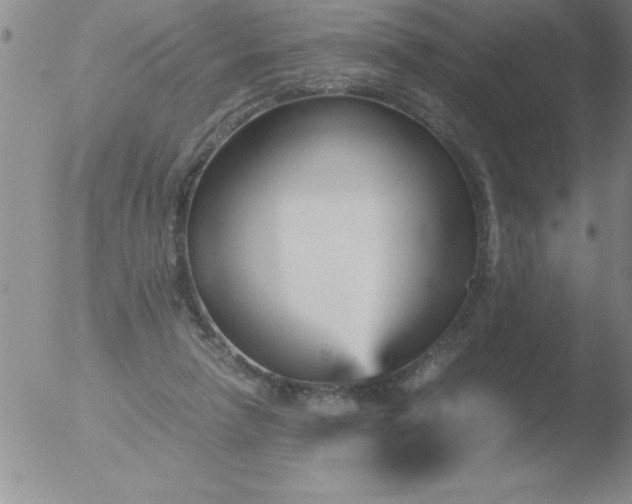 X0000051910258200507082037