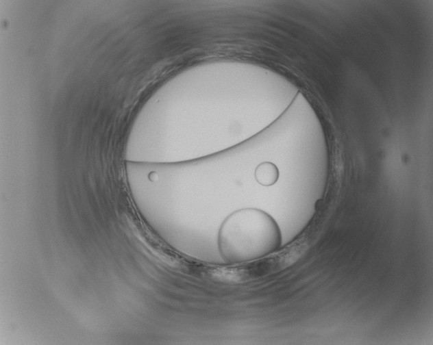 X0000051910261200507082037