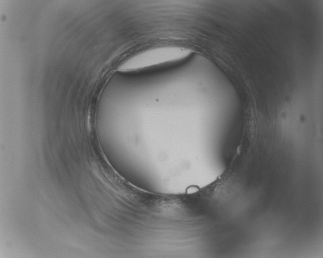 X0000051910262200507082037