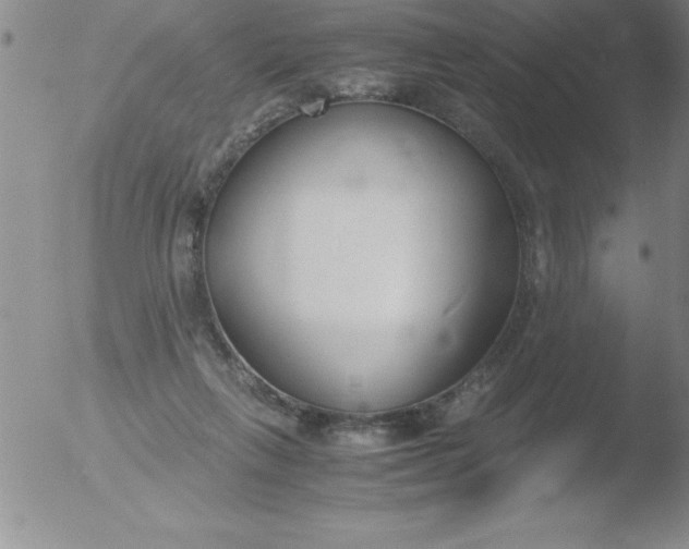 X0000051910263200507082037