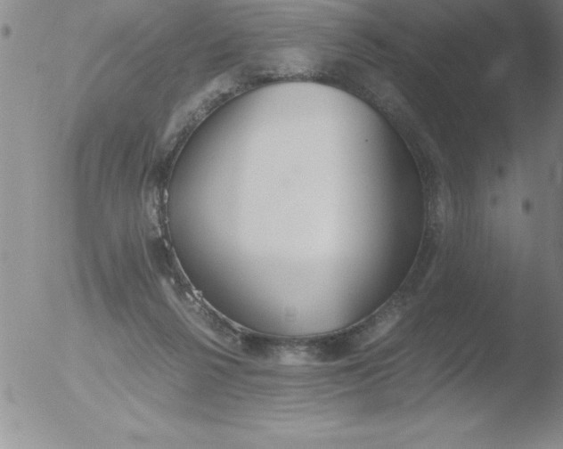 X0000051910264200507082037