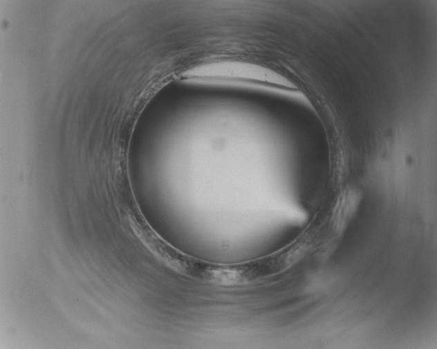 X0000051910265200507082037