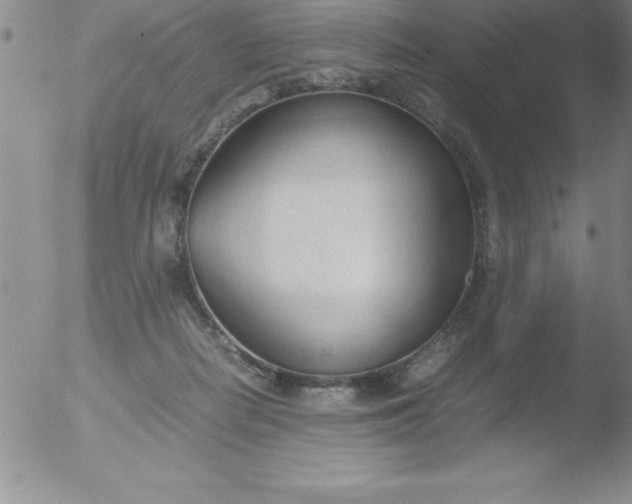 X0000051910266200507082037