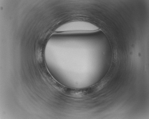 X0000051910267200507082037