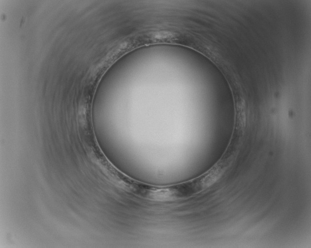 X0000051910269200507082037