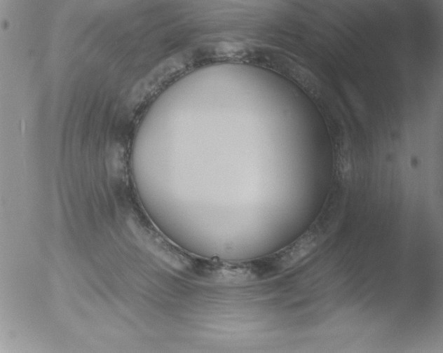 X0000051910270200507082037