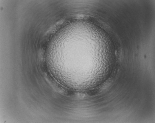 X0000051910272200507082037