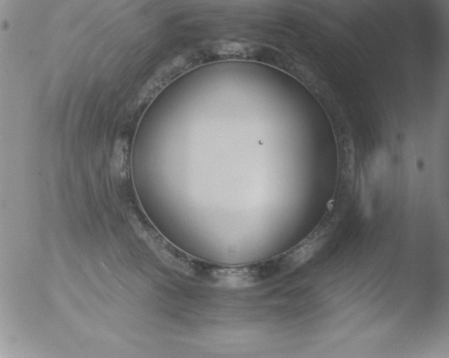 X0000051910273200507082037