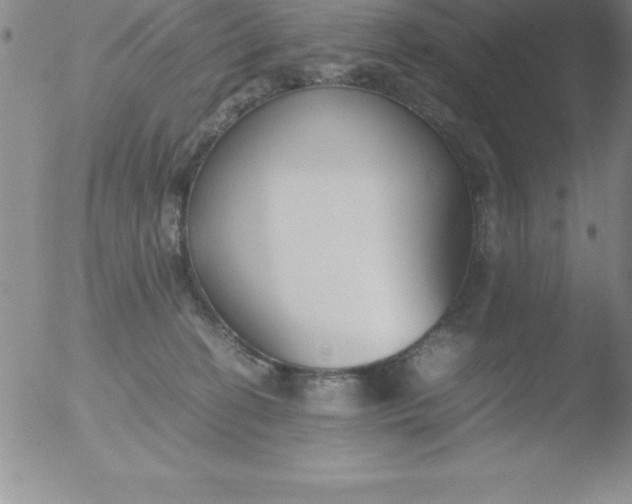 X0000051910274200507082037