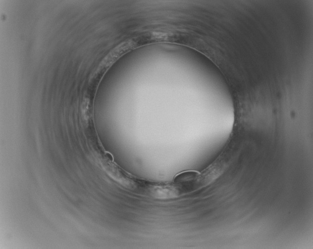 X0000051910275200507082037