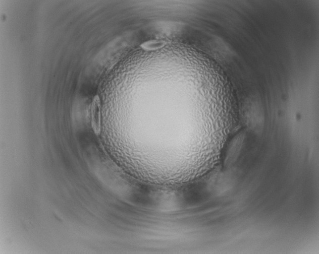 X0000051910276200507082037