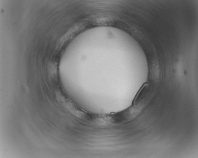 X0000051910278200507082037