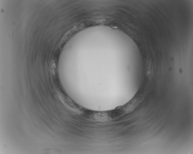 X0000051910279200507082037