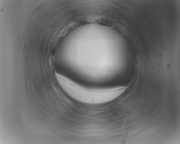 X0000051910280200507082037