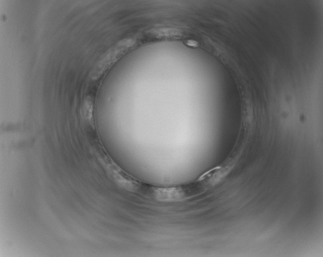 X0000051910281200507082037