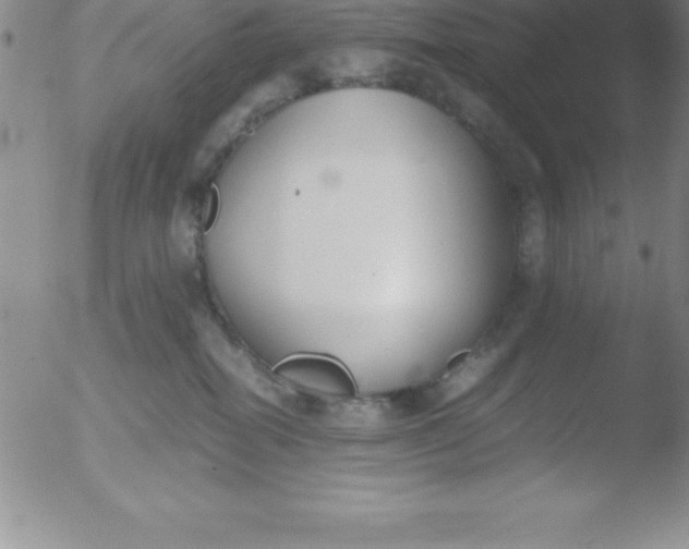 X0000051910282200507082037