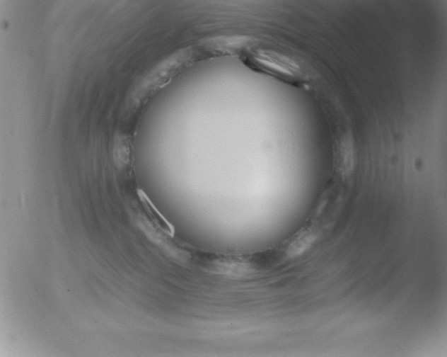 X0000051910284200507082037