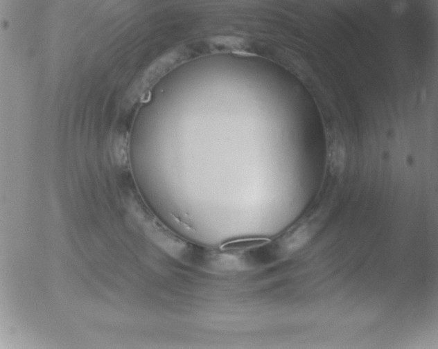 X0000051910285200507082037