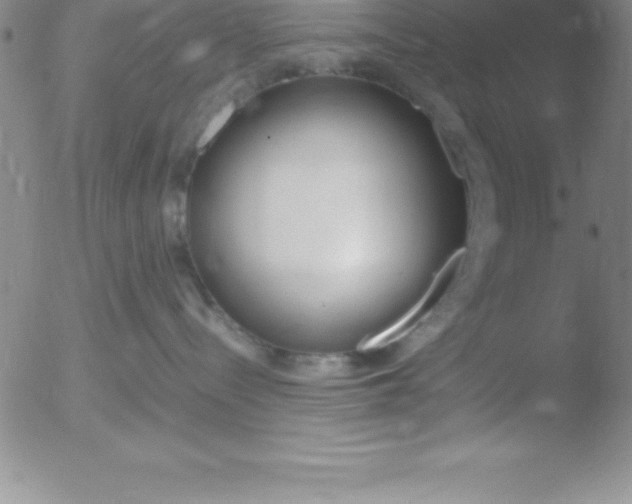 X0000051910288200507082037