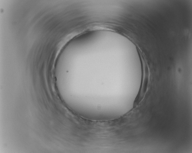 X0000051910289200507082036