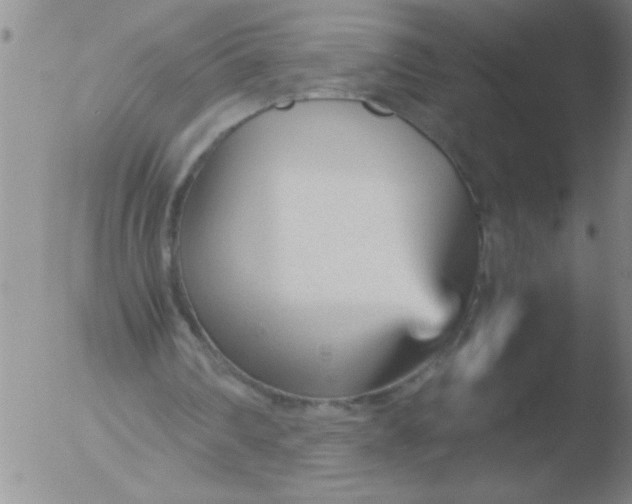 X0000051910290200507082036