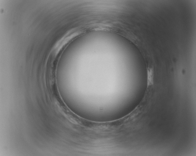 X0000051910291200507082036