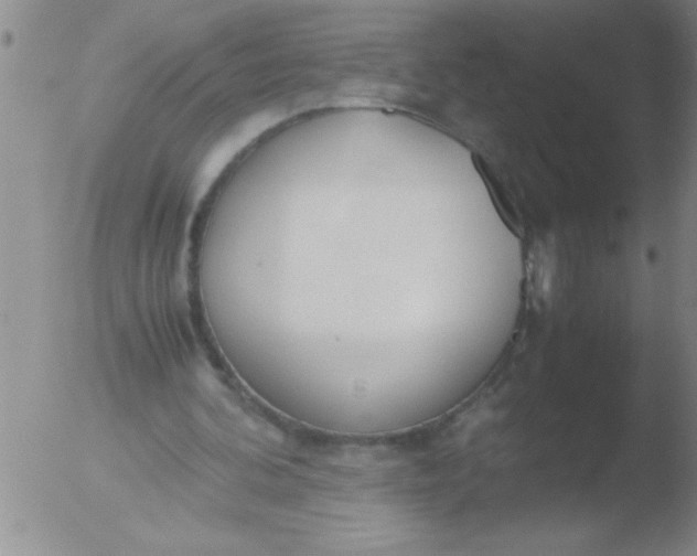 X0000051910292200507082036