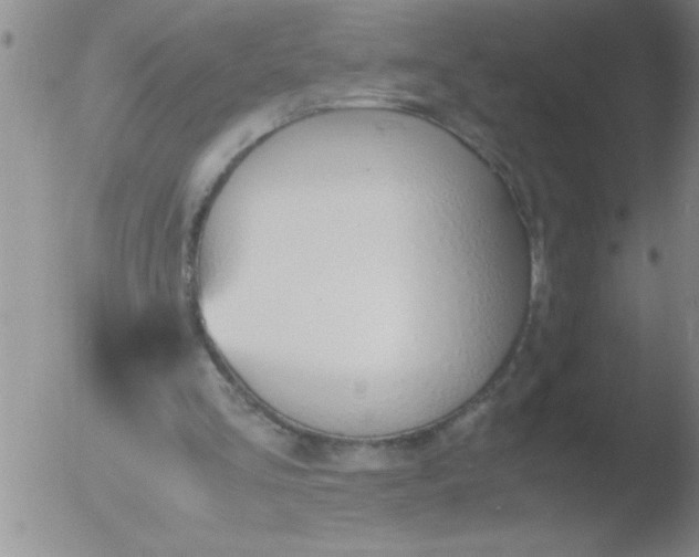 X0000051910293200507082036