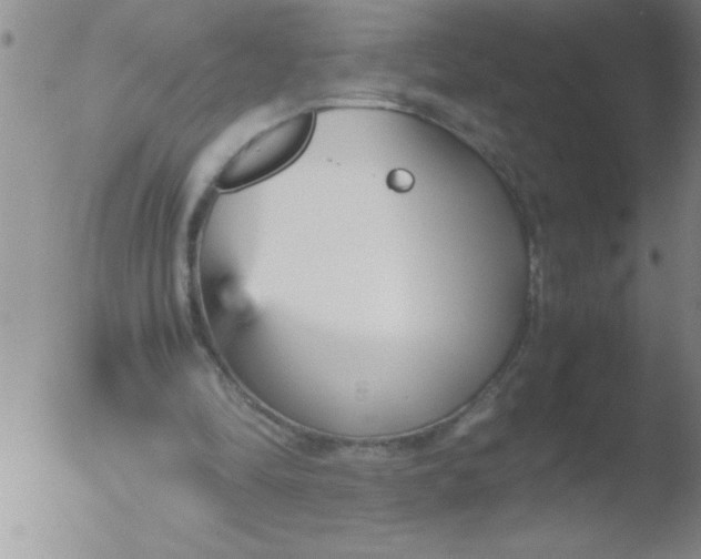 X0000051910294200507082036