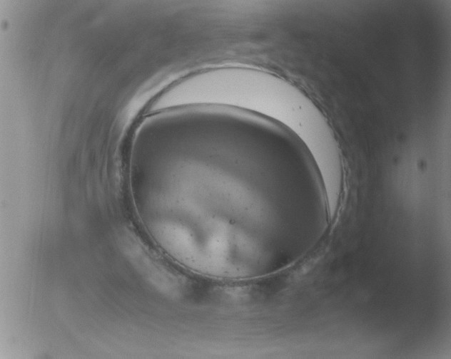 X0000051910295200507082036