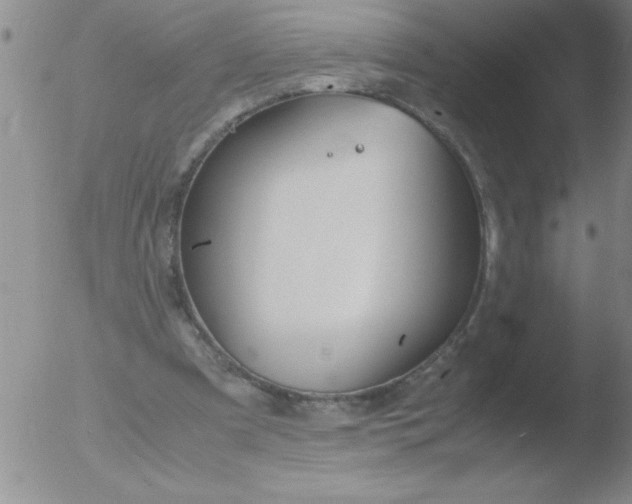 X0000051910297200507082036