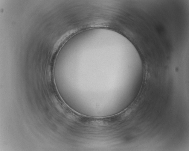 X0000051910298200507082036