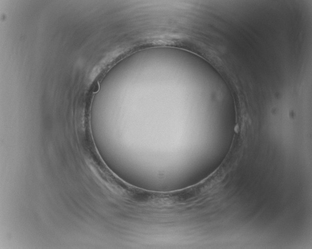 X0000051910299200507082036