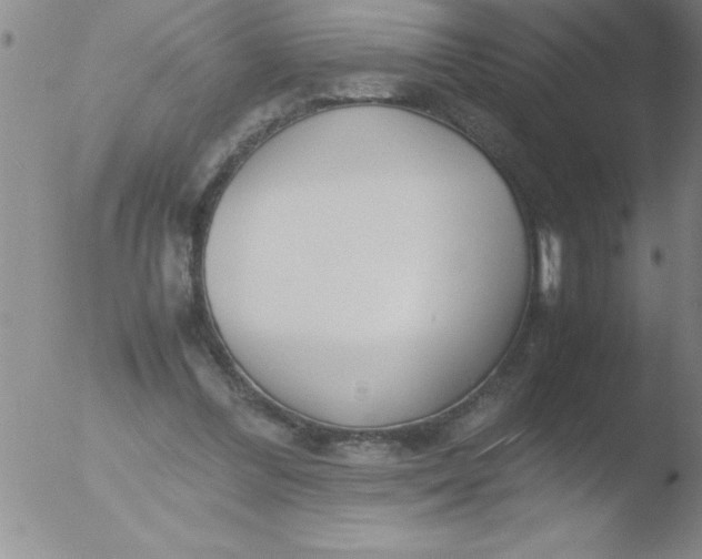 X0000051910300200507082036