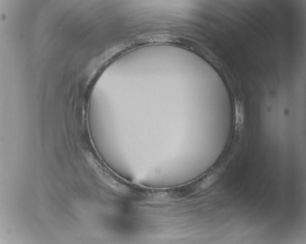 X0000051910301200507082036