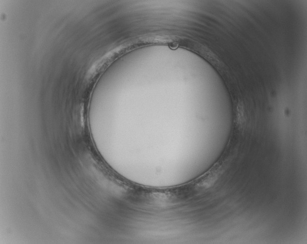 X0000051910302200507082036