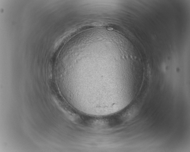 X0000051910303200507082036