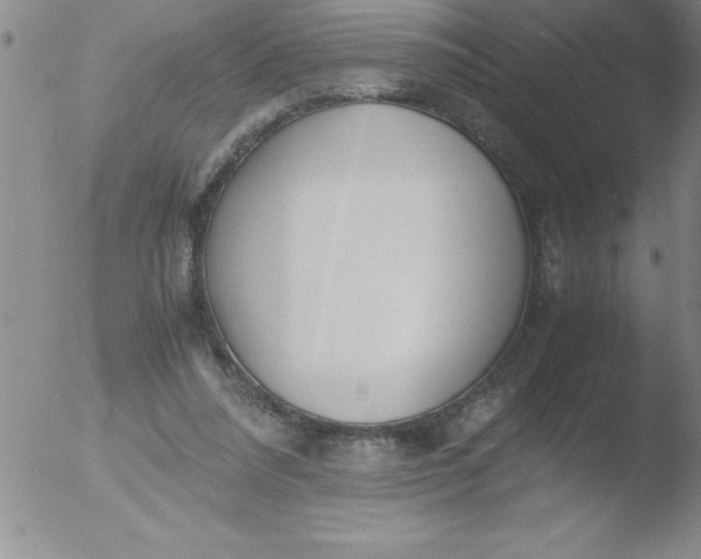 X0000051910304200507082036