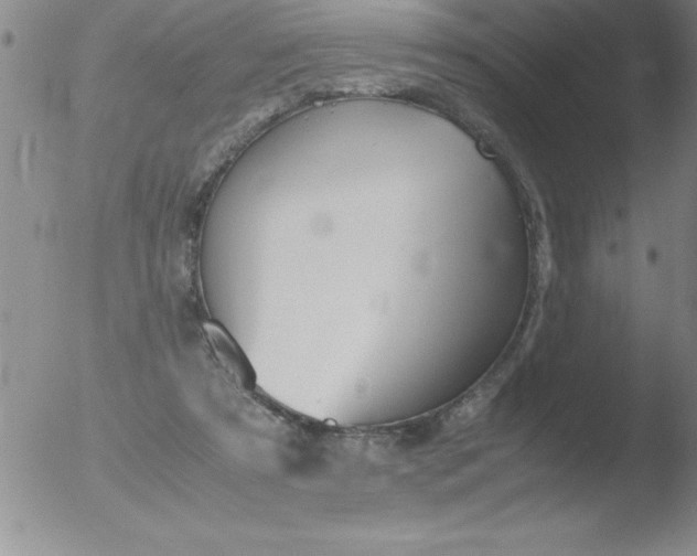 X0000051910305200507082036