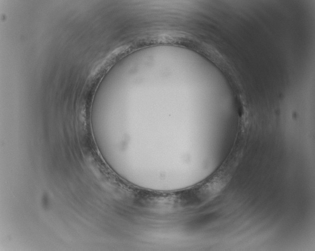 X0000051910306200507082036