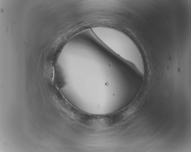 X0000051910307200507082036