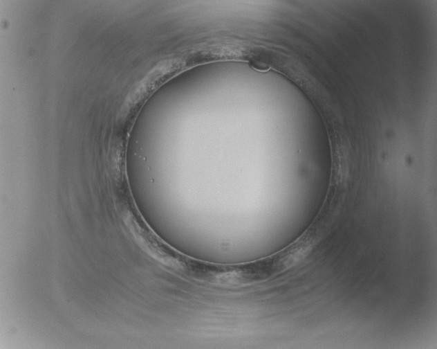 X0000051910309200507082036