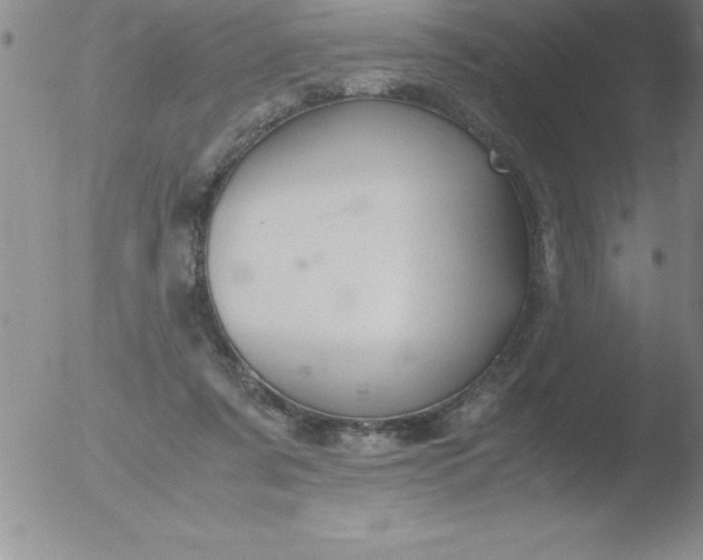 X0000051910311200507082036