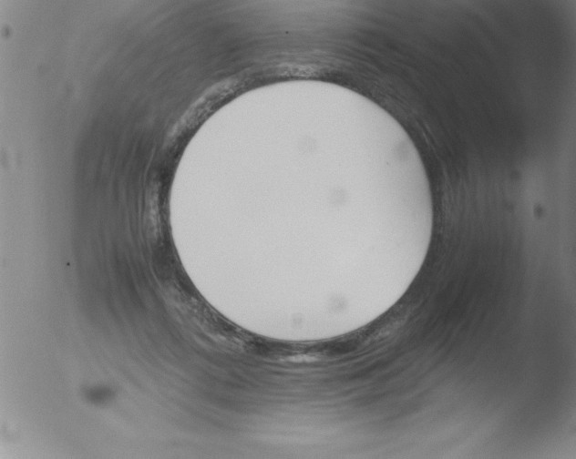 X0000051910312200507082036